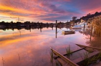 Tamar Morning