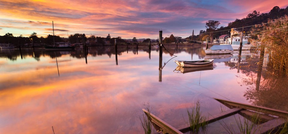 Tamar Morning