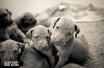 Too cute