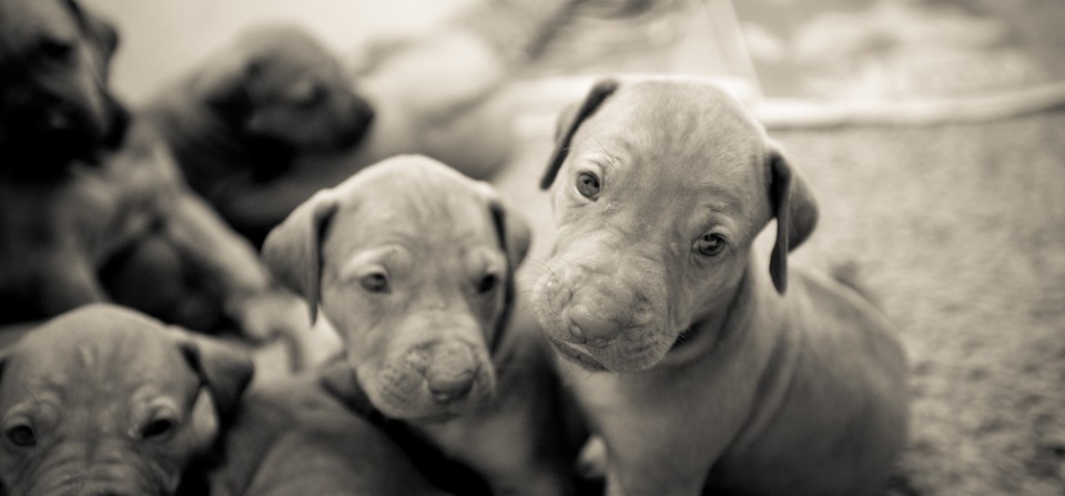Too cute